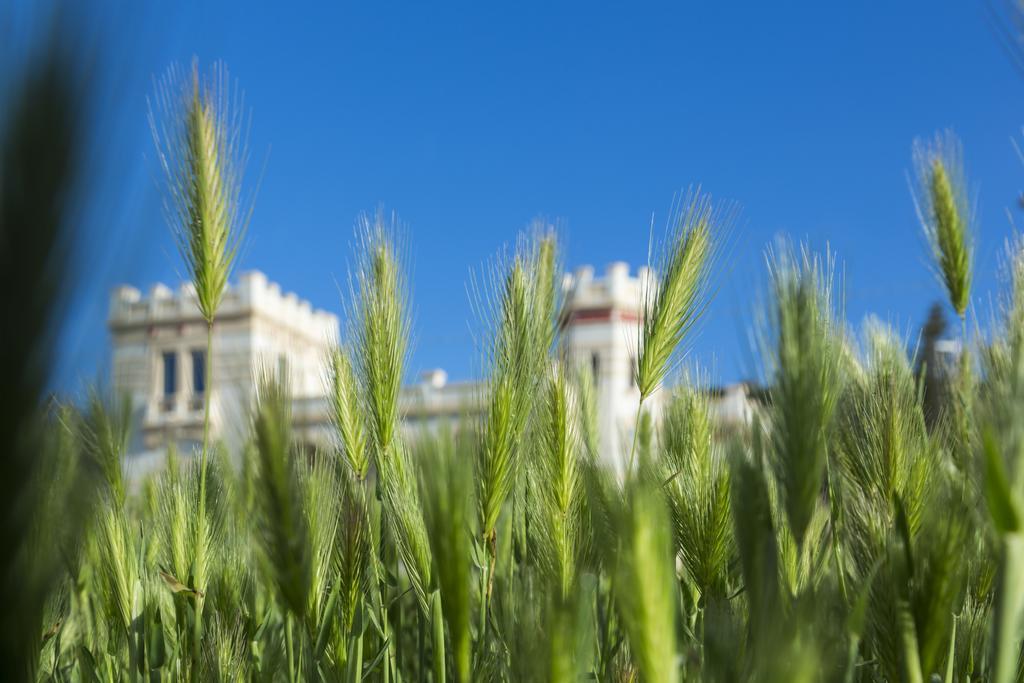 Villa Raffaella Santa Cesarea Terme Exterior foto